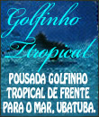 Golfinho Tropical