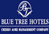 Hotel Blue Tree Park
