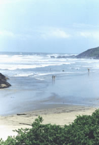 Praia do Caramborê