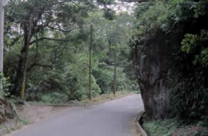 Estrada do Guaraú
