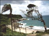 Praias Balneário Camboriú